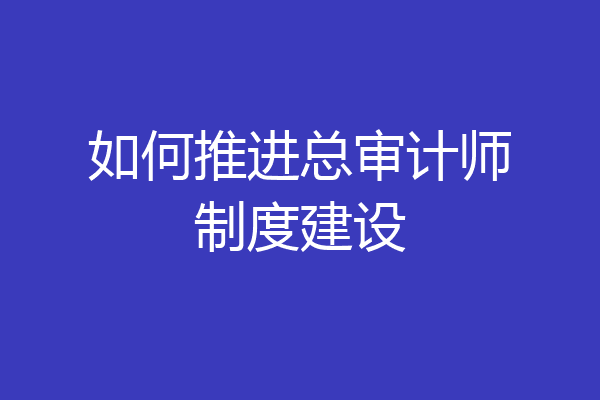 如何推进总审计师制度建设