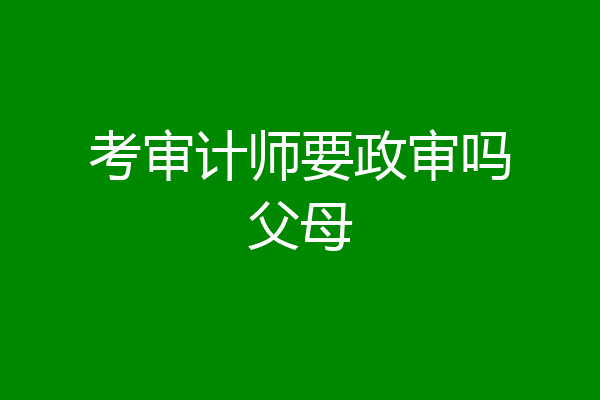 考审计师要政审吗父母