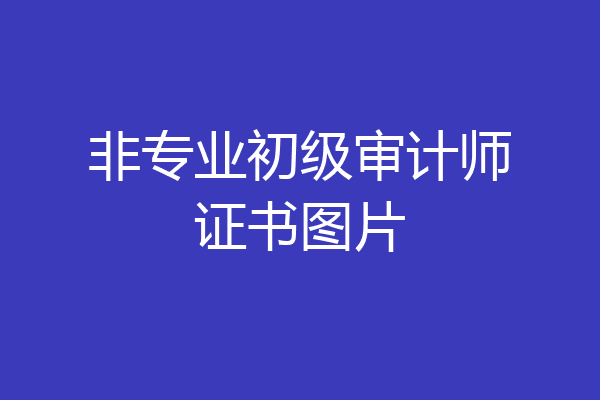 非专业初级审计师证书图片