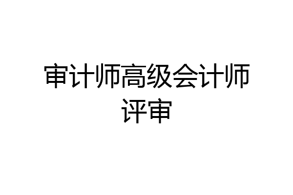 审计师高级会计师评审