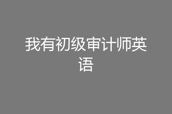 我有初级审计师英语