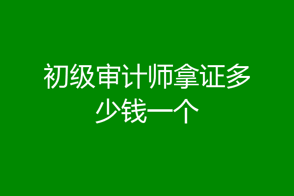 初级审计师拿证多少钱一个