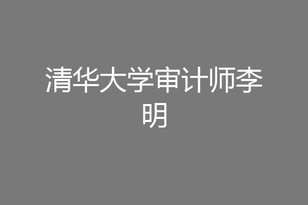清华大学审计师李明