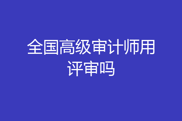 全国高级审计师用评审吗