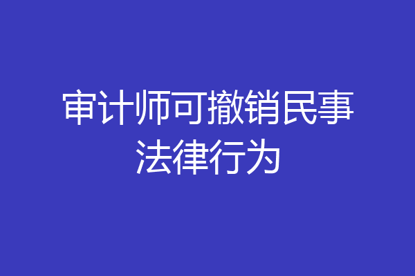 审计师可撤销民事法律行为