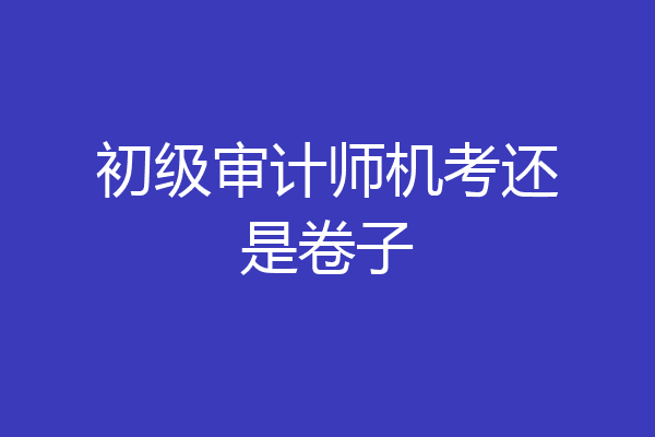 初级审计师机考还是卷子