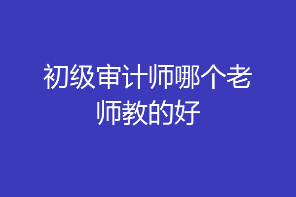 初级审计师哪个老师教的好