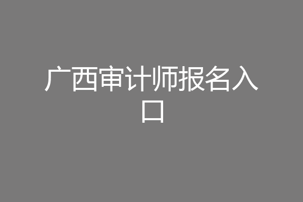 广西审计师报名入口