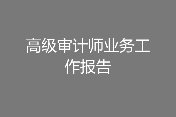 高级审计师业务工作报告