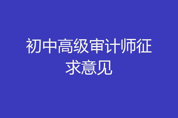 初中高级审计师征求意见