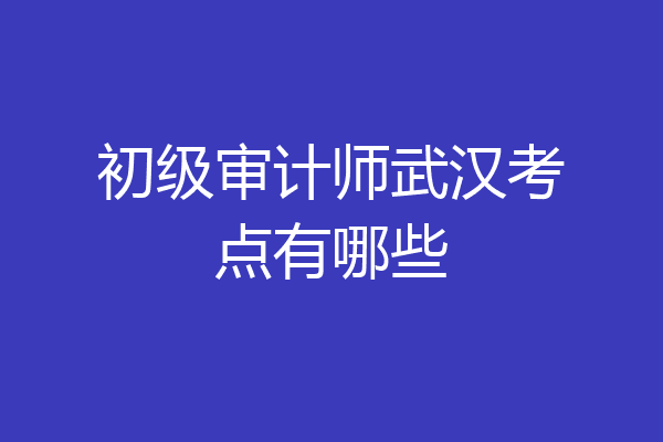 初级审计师武汉考点有哪些