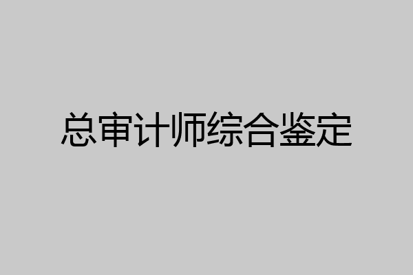 总审计师综合鉴定