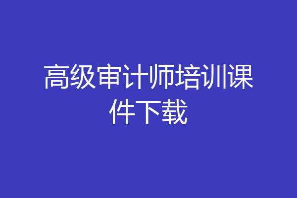 高级审计师培训课件下载
