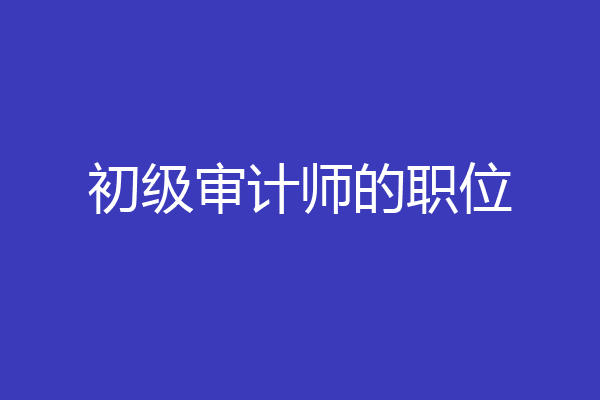 初级审计师的职位