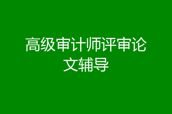 高级审计师评审论文辅导