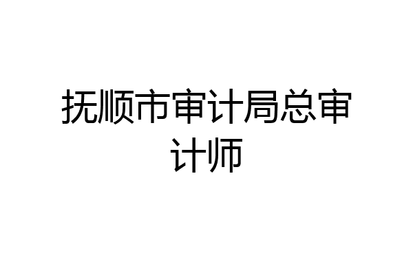 抚顺市审计局总审计师