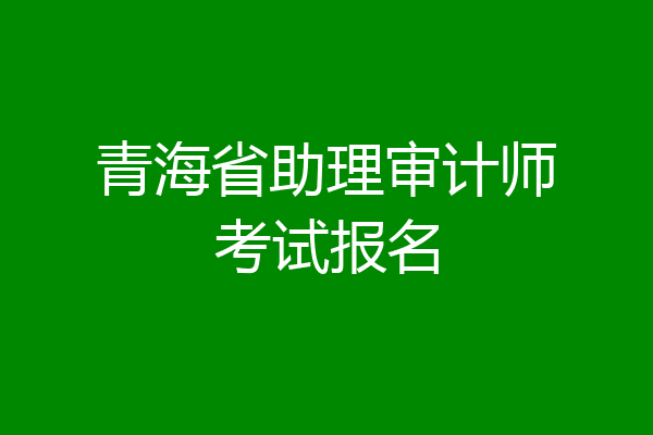 青海省助理审计师考试报名