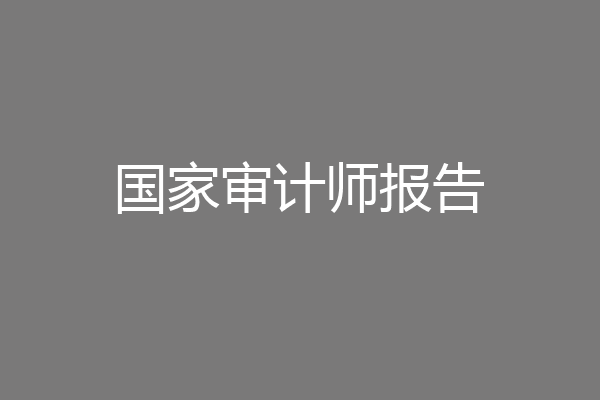 国家审计师报告