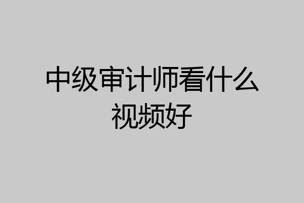 中级审计师看什么视频好