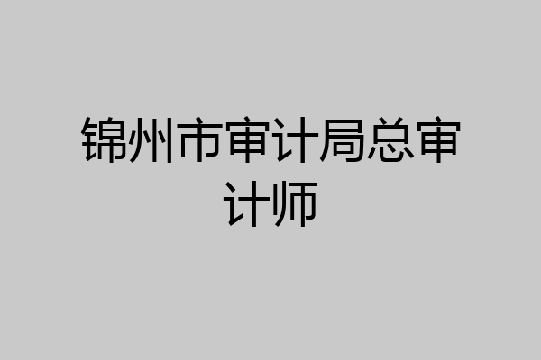 锦州市审计局总审计师