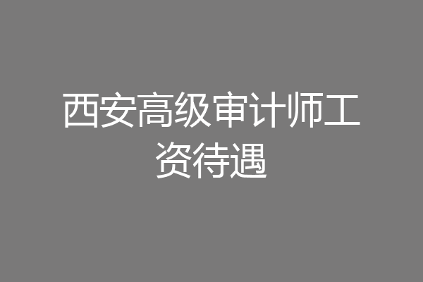 西安高级审计师工资待遇