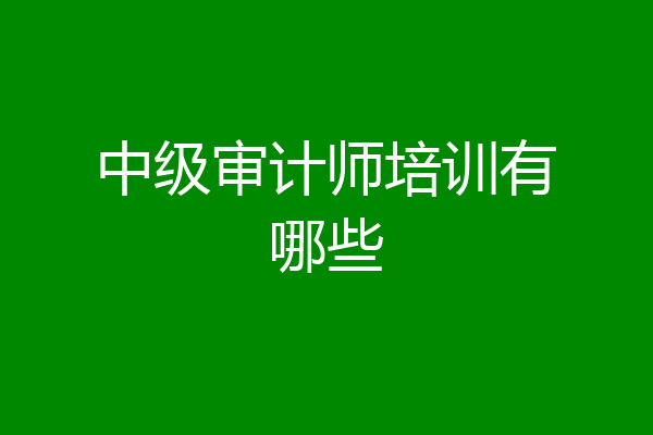 中级审计师培训有哪些