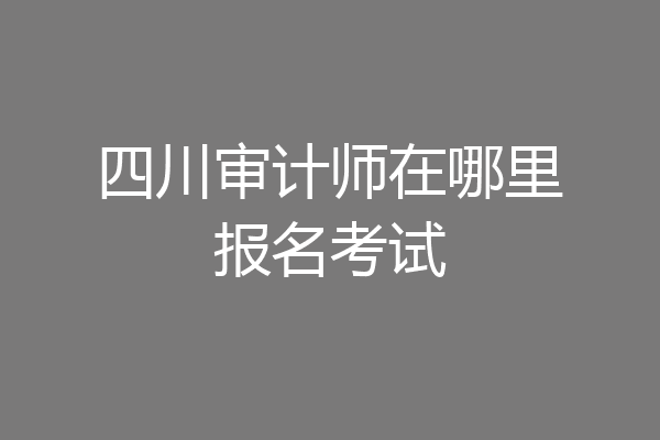 四川审计师在哪里报名考试
