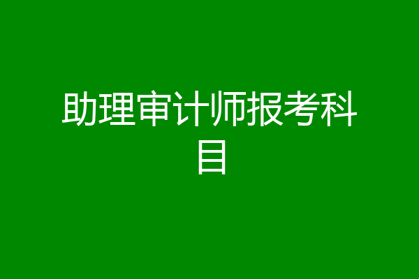 助理审计师报考科目