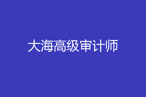 大海高级审计师