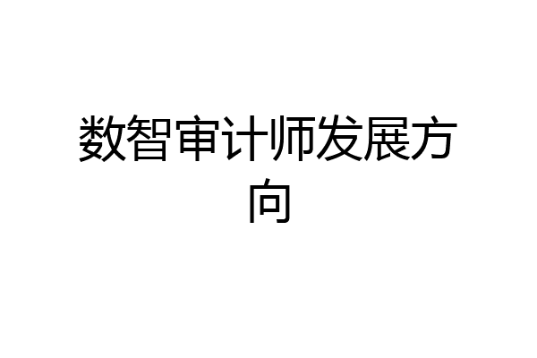 数智审计师发展方向