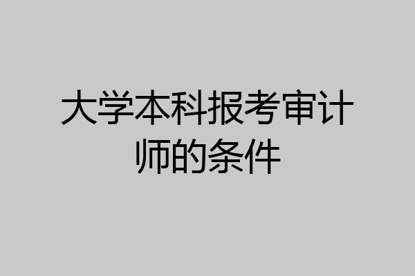 大学本科报考审计师的条件