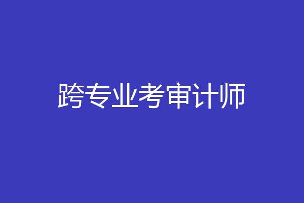 跨专业考审计师