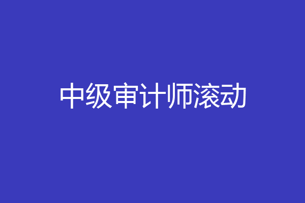 中级审计师滚动