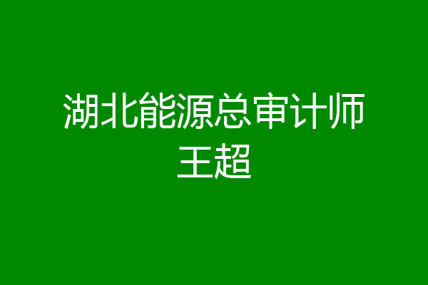 湖北能源总审计师王超