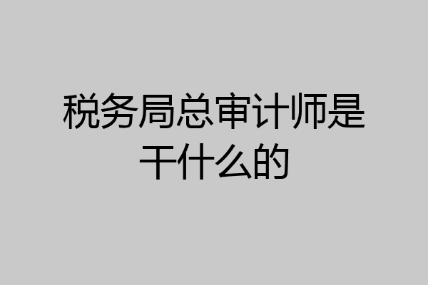 税务局总审计师是干什么的