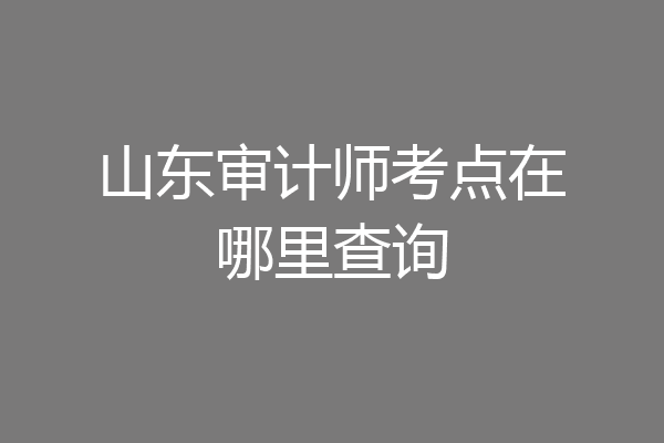 山东审计师考点在哪里查询