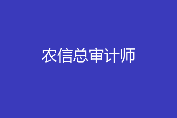 农信总审计师