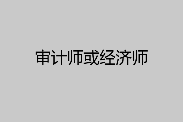 审计师或经济师