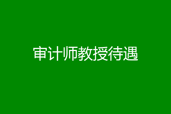 审计师教授待遇