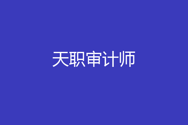 天职审计师