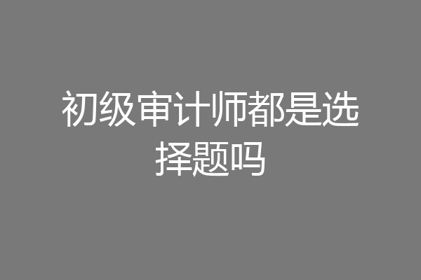 初级审计师都是选择题吗