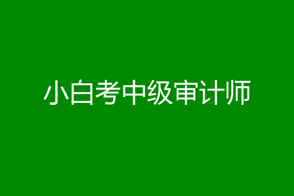 小白考中级审计师