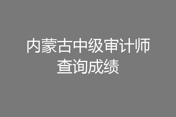 内蒙古中级审计师查询成绩