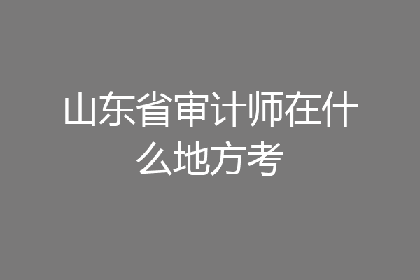 山东省审计师在什么地方考