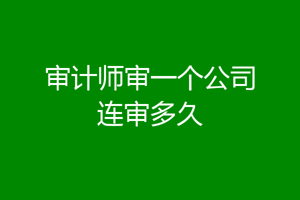 审计师审一个公司连审多久