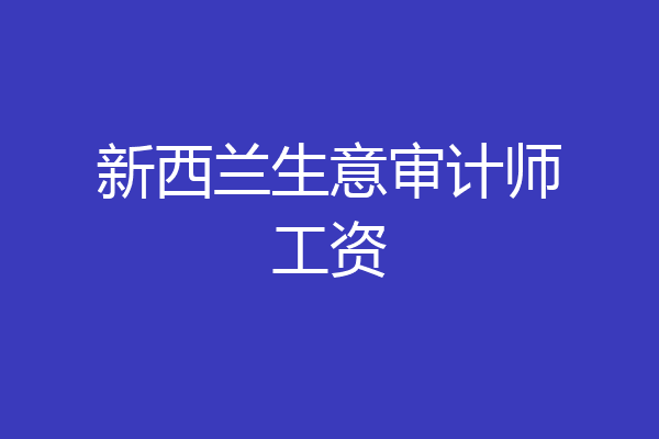 新西兰生意审计师工资