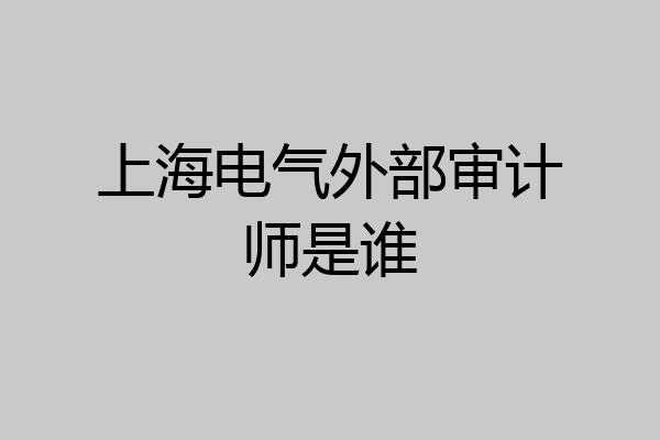 上海电气外部审计师是谁