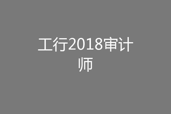 工行2018审计师