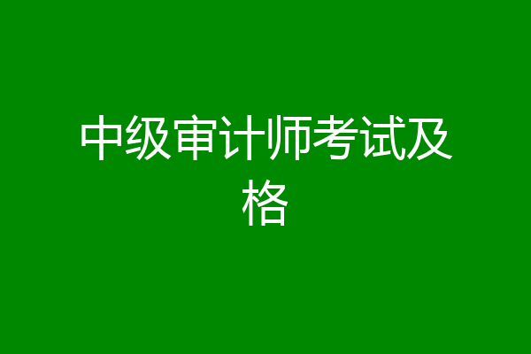 中级审计师考试及格