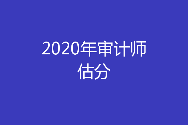 2020年审计师估分